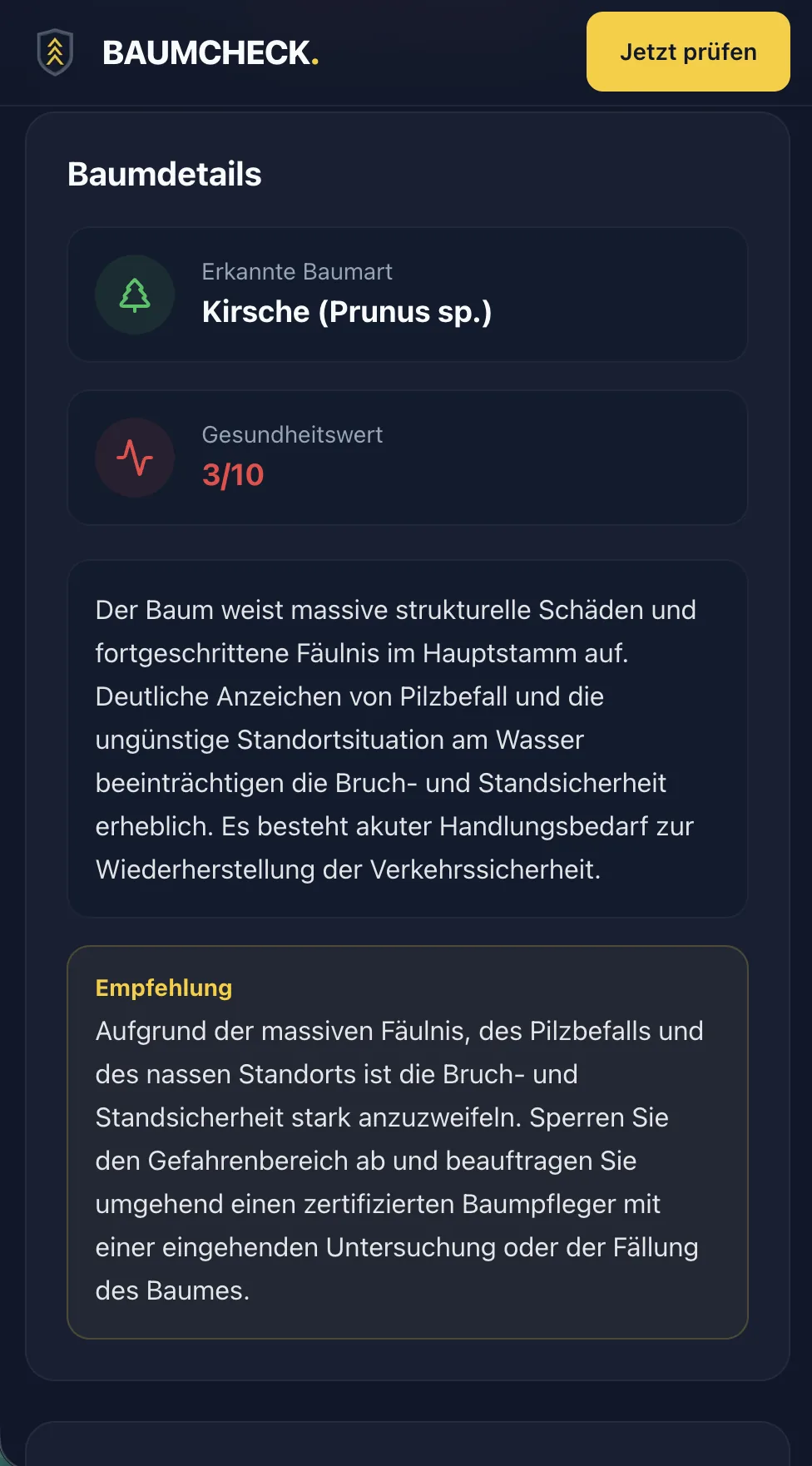 Baumcheck screenshot 4